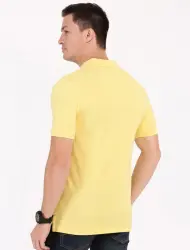 Mens Solid T-shirt